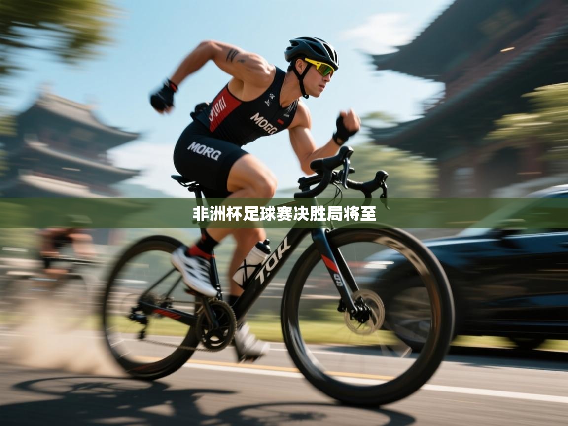 非洲杯足球赛决胜局将至